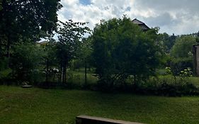 Vila Na Kamenci